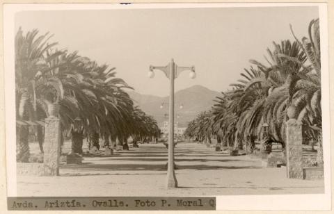 Primera imagen del registro Avenida Ariztía, Ovalle
