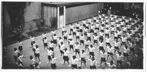 Primera imagen del registro Revista de gimnasia