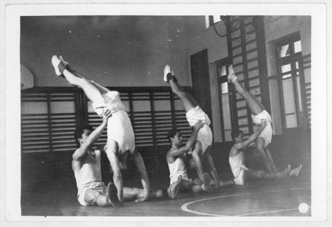 Primera imagen del registro Gimnasia en Instituto de Educación Física