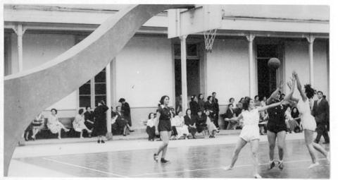 Primera imagen del registro Partido de básquetbol