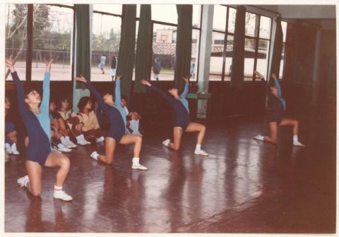 Primera imagen del registro Clases de gimnasia