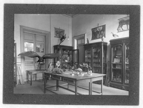 Primera imagen del registro Gabinete de Historia Natural de Escuela Normal José Abelardo Núñez