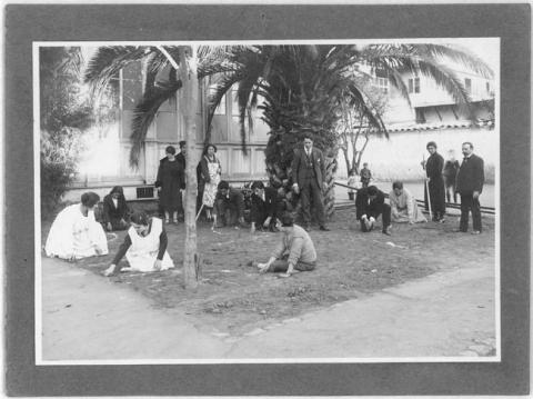 Primera imagen del registro Curso de jardinería