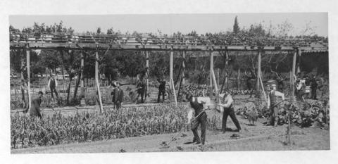 Primera imagen del registro Clase de agricultura