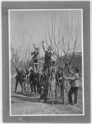 Primera imagen del registro Curso de agricultura