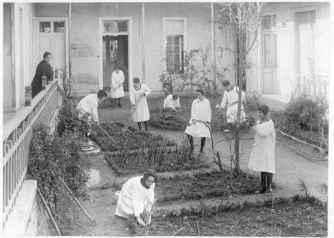Primera imagen del registro Clase de jardinería