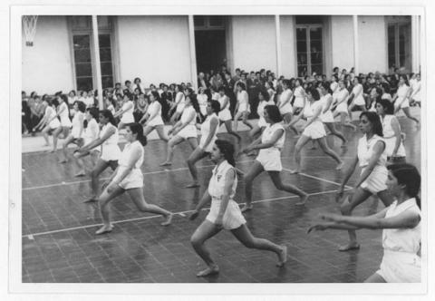 Primera imagen del registro Presentación de gimnasia