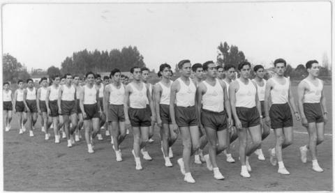 Primera imagen del registro Revista de gimnasia