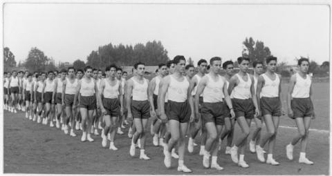 Primera imagen del registro Revista de gimnasia