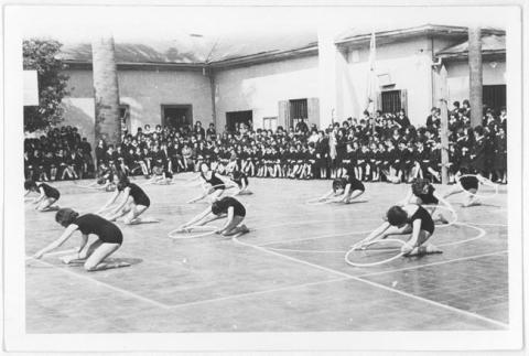 Primera imagen del registro Revista de gimnasia