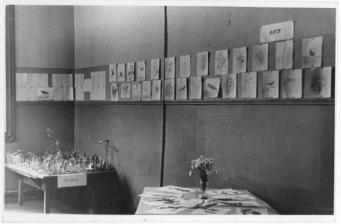 Primera imagen del registro Exposición escolar