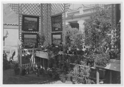 Primera imagen del registro Exposición escolar