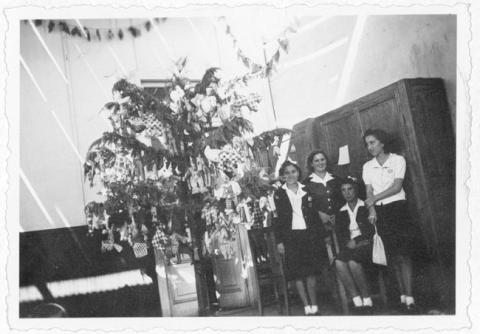 Primera imagen del registro Niñas y árbol de Navidad
