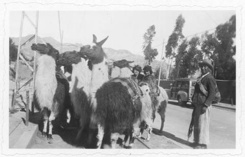 Primera imagen del registro Liceo de Niñas de Antofagasta. Bolivia. Colegio Inglés Católico, donde se hospedó la delegación de profesoras y alumnas, 1942
