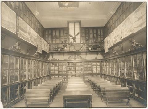 Primera imagen del registro Instituto Nacional