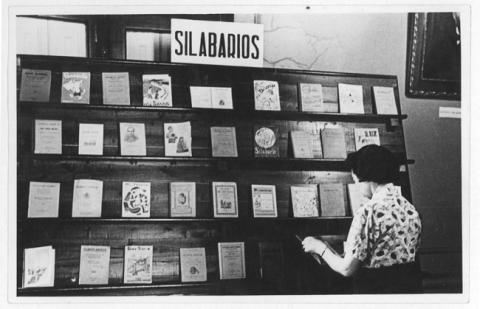 Primera imagen del registro Museo Pedagógico