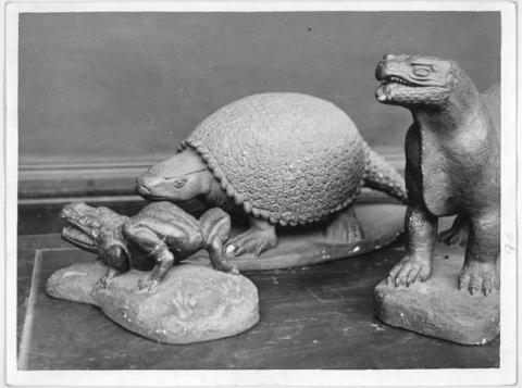 Primera imagen del registro Museo Pedagógico