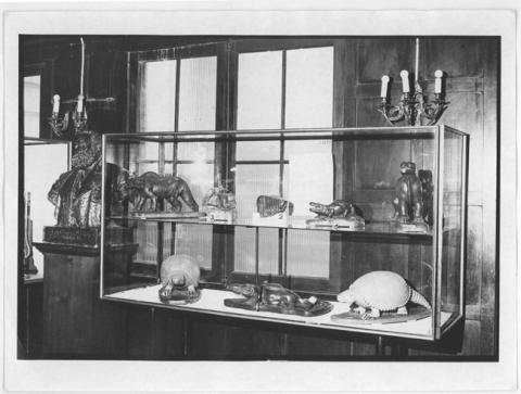 Primera imagen del registro Museo Pedagógico