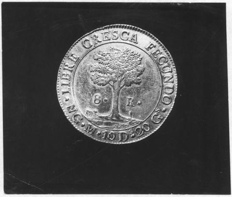 Primera imagen del registro Museo Pedagógico