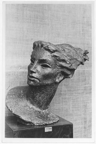 Primera imagen del registro Museo Pedagógico