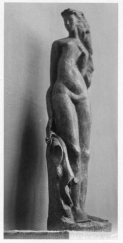 Primera imagen del registro Museo Pedagógico