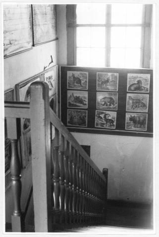 Primera imagen del registro Museo Pedagógico