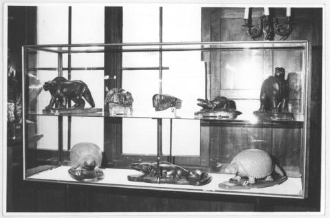 Primera imagen del registro Museo Pedagógico