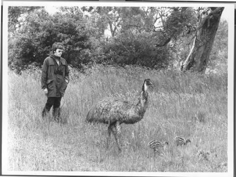 Primera imagen del registro Australia