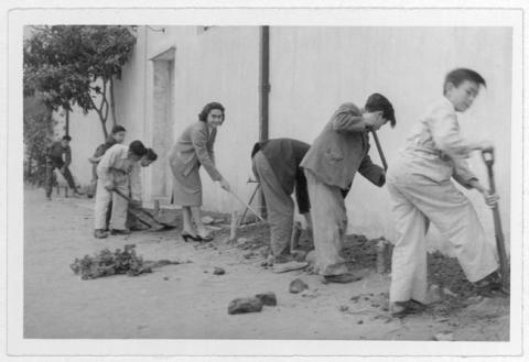 Primera imagen del registro Clase de agricultura