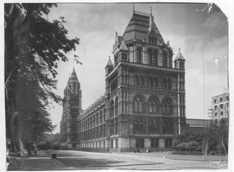 Primera imagen del registro Museo de Historia Natural, Londres