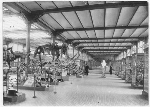 Primera imagen del registro Museo de Historia Natural, París