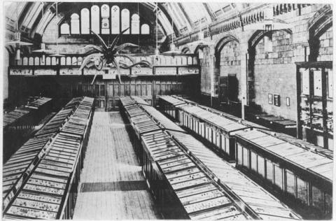 Primera imagen del registro Museo de Historia Natural,París