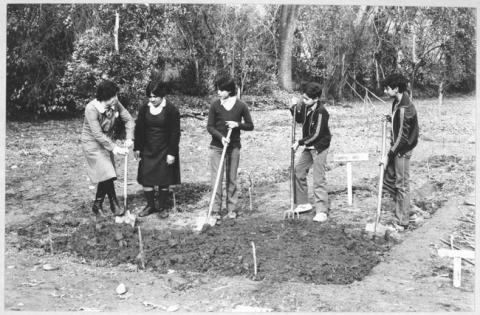 Primera imagen del registro Alumnos trabajando en actividades del programa de huertos escolares, Escuela de Colina, 1983