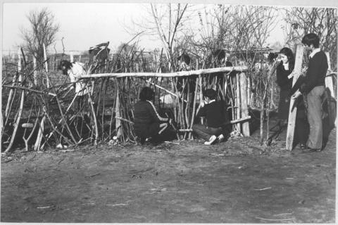 Primera imagen del registro Alumnos trabajando en actividades del programa de huertos escolares, Escuela de Colina, 1983