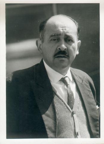 Primera imagen del registro Retrato masculino
