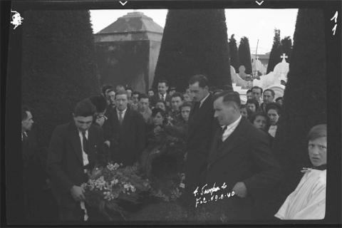 Primera imagen del registro Sin título