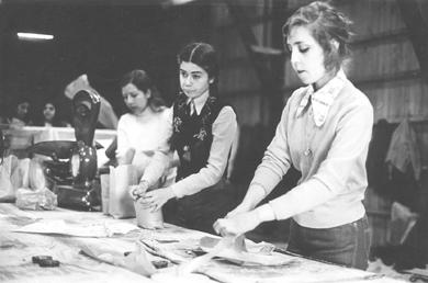 Primera imagen del registro Trabajos Voluntarios