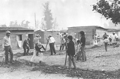 Primera imagen del registro Trabajos Voluntarios