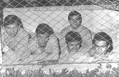 Primera imagen del registro Ignacio Prieto, Humberto Donoso, Manuel Astorga, Humberto Cruz, Selección Nacional de Fútbol