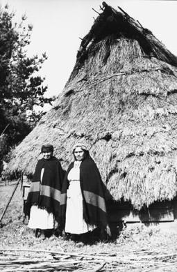 Primera imagen del registro MAPUCHES ANTE RUCA