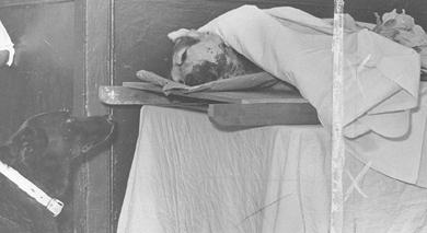 Primera imagen del registro Perro Policial Asesinado por Delincuentes en Enero de 1962
