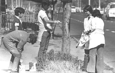 Primera imagen del registro Trabajos Voluntarios
