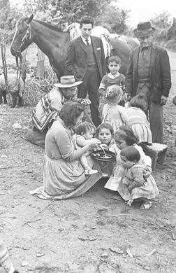 Primera imagen del registro Chile, Reforma Agraria, Conflictos, Curicó 1965