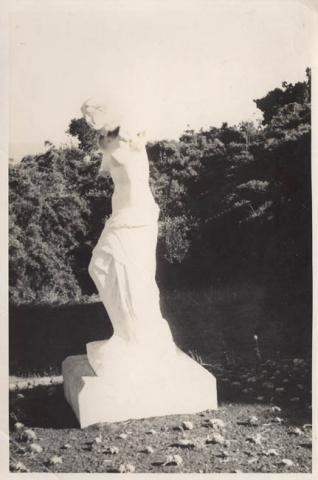 Primera imagen del registro La Venus de Milo