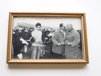 Primera imagen del registro Exposición bovina