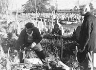 Primera imagen del registro Chile, Reforma Agraria, UP 72, Conflicto Los Angeles