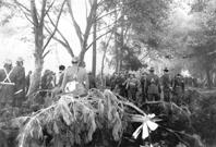 Primera imagen del registro Carabineros deteniendo inquilinos del Fundo La Piedad