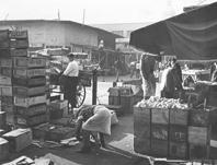 Primera imagen del registro Chile, comercio en la Vega Central