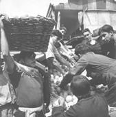 Primera imagen del registro Chile, campesinos, faenas