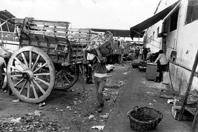Primera imagen del registro Comercio, Matadero